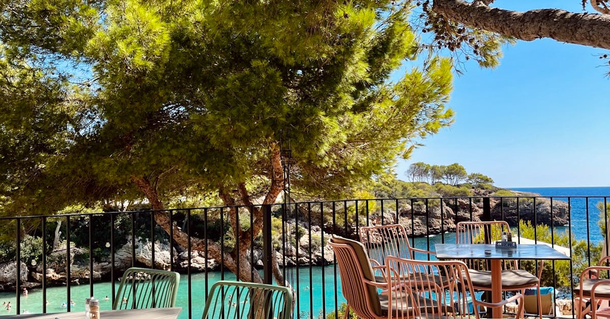 A Foodie's Guide to Casual Dining in Byron Bay