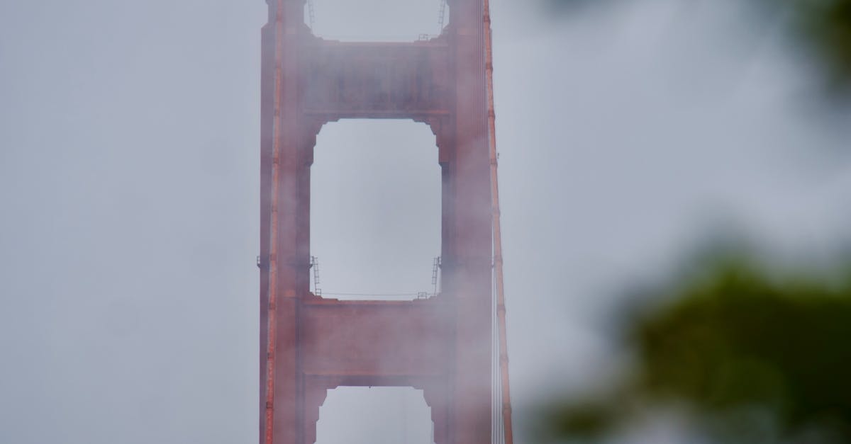 Affordable Casual Options for Freshly Caught Seafood in Byron Bay