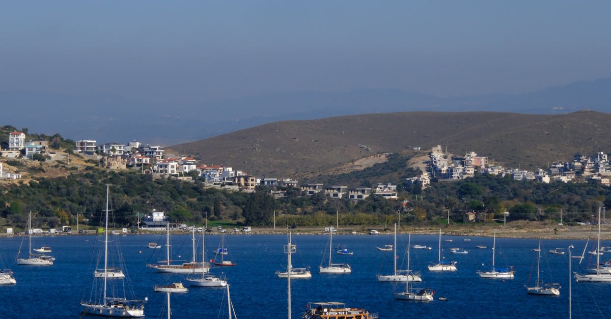 Celebrating Special Occasions at Byron Bay's Fine Dining Restaurants