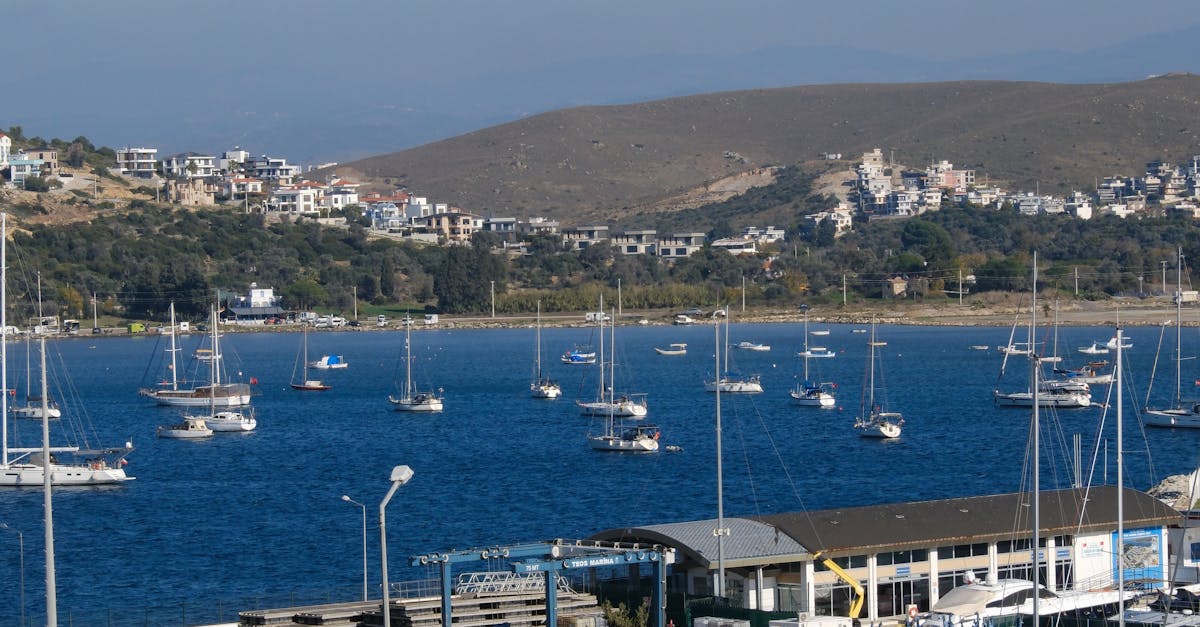 Exploring the Best Vegan Breakfast Spots in Byron Bay