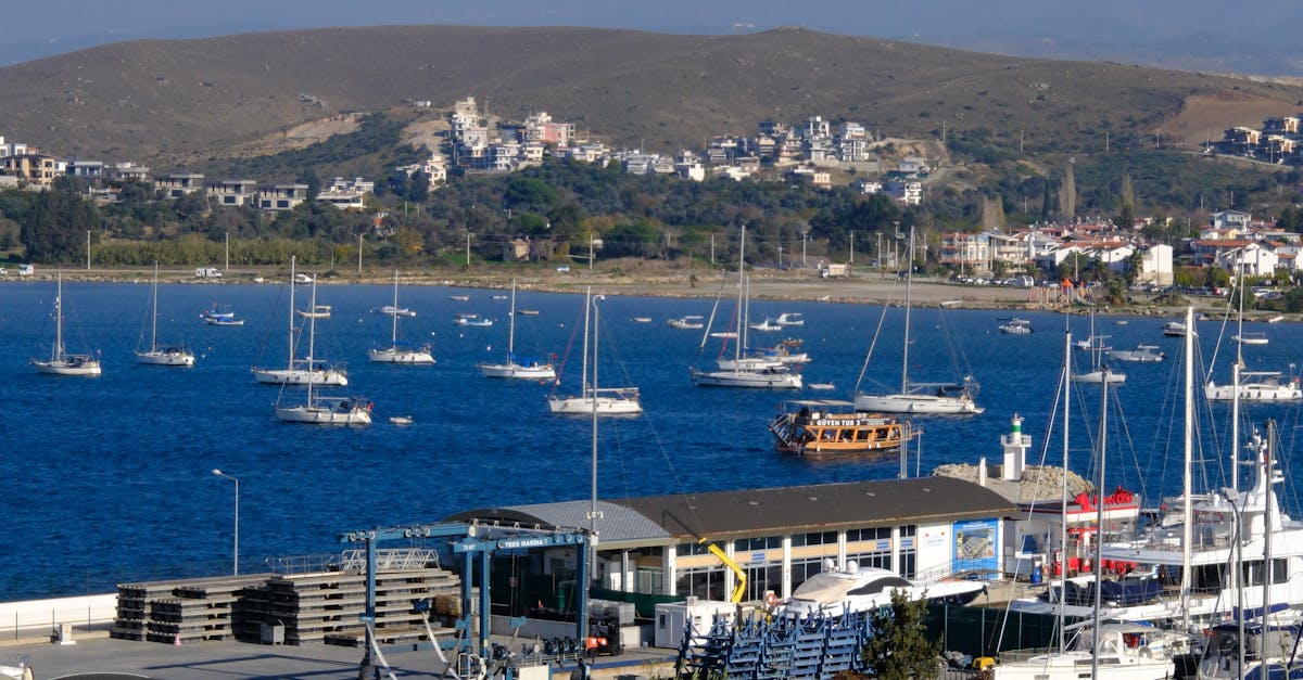 Prawns, Crabs, and More: A Deep Dive into Byron Bay’s Seafood Scene