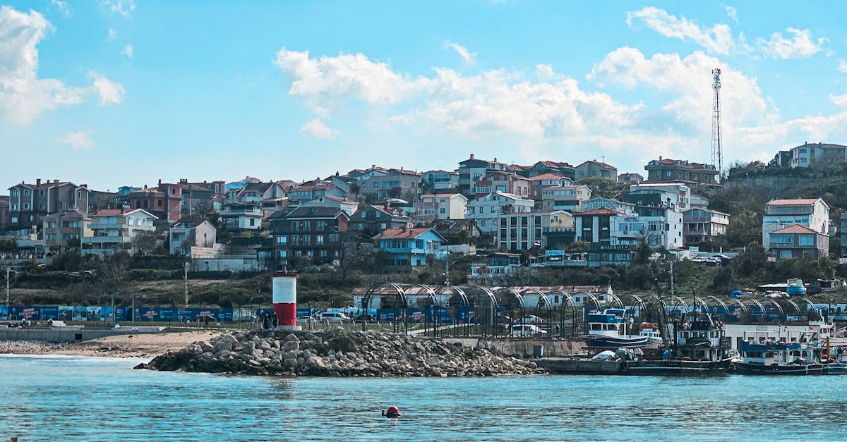 Satisfying Plant-Based Cravings: Vegan Lunch Options in Byron Bay