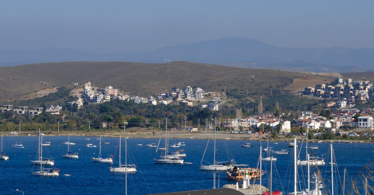 Tasting Australia: Signature Seafood Dishes You Must Try in Byron Bay