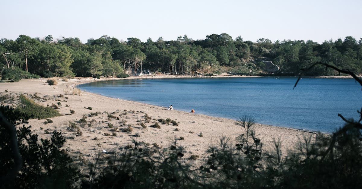 The Rise of Asian-Australian Fusion in Byron Bay Restaurants