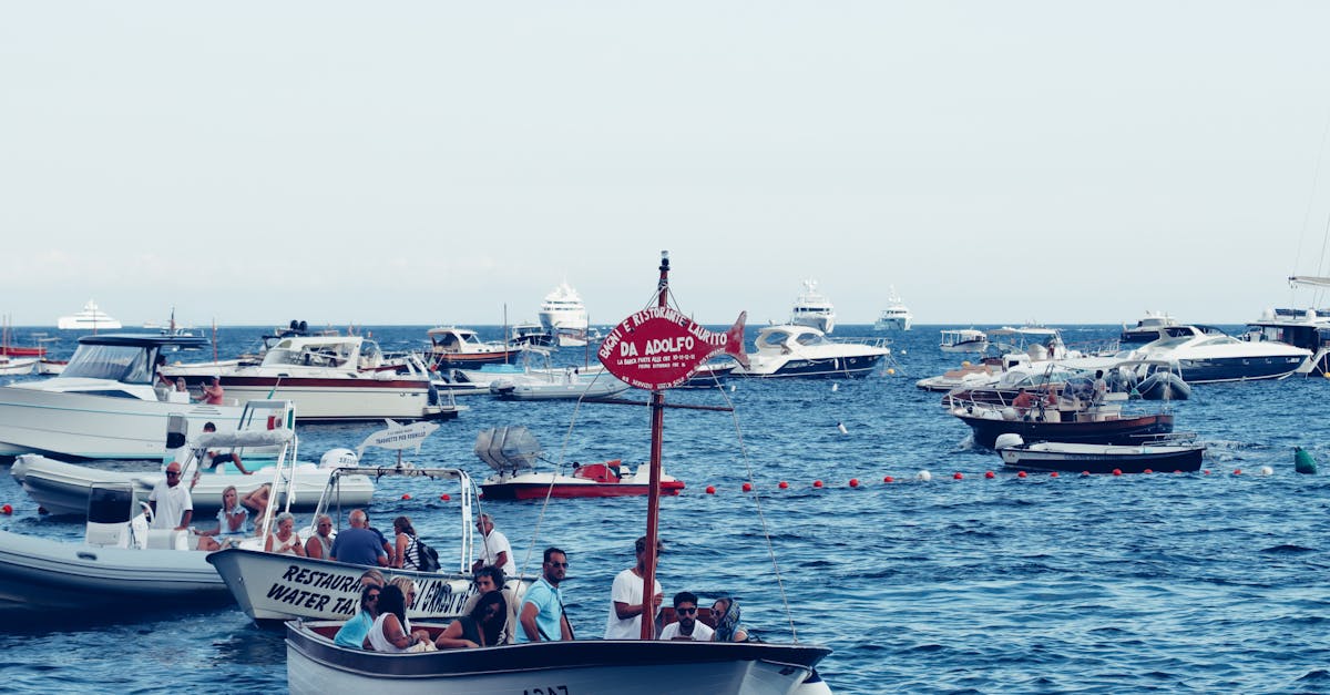 The Rise of Farm-to-Table Dining in Byron Bay's Food Culture