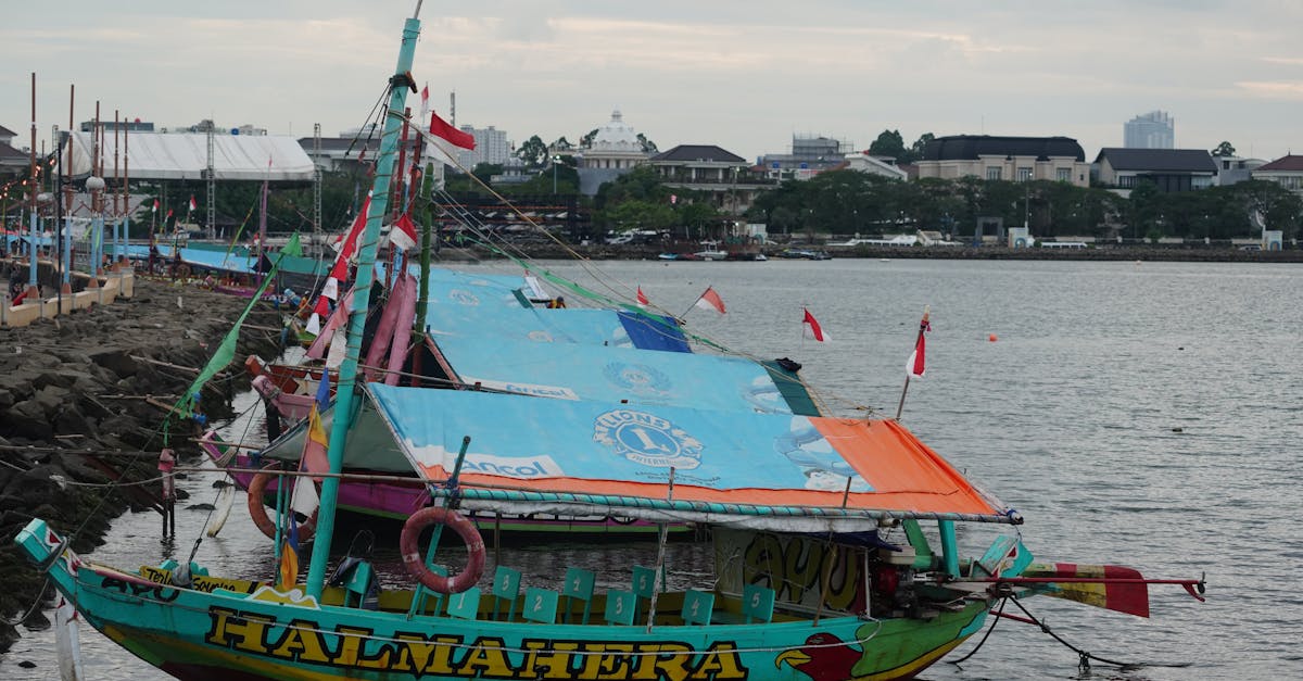 The Rise of Vegan Cuisine in Byron Bay's Food Scene