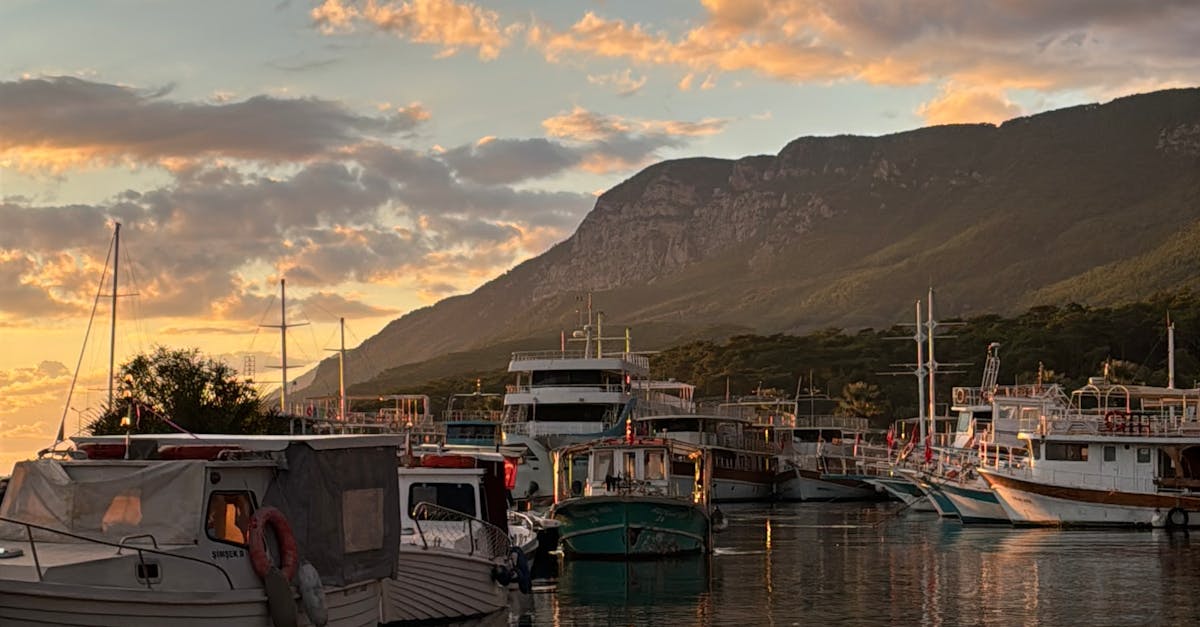 The Rise of Vegan Takeaway Foods in Byron Bay