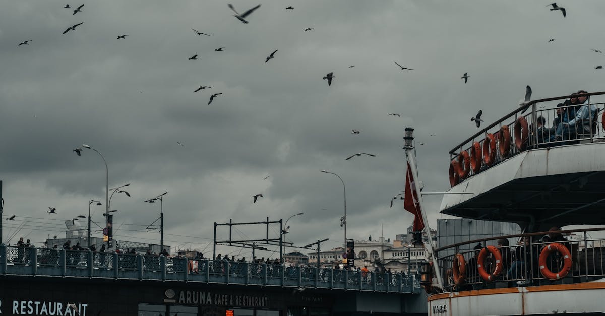 Top Farm-to-Table Restaurants to Experience Fresh Produce in Byron Bay