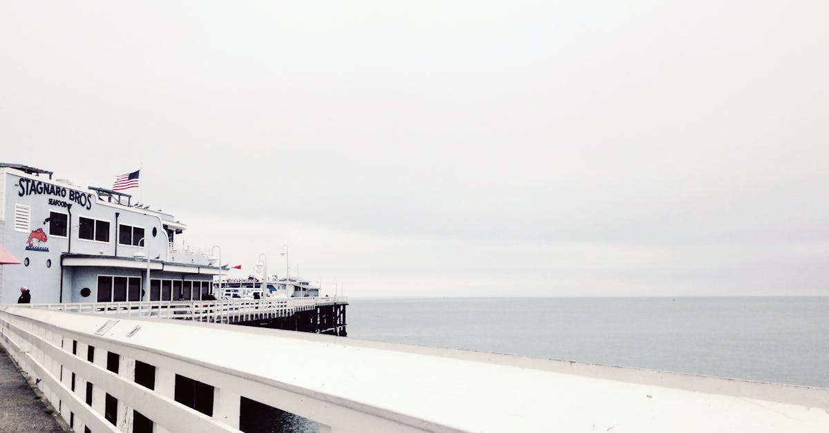 Vegan and Vegetarian Takeaway Delights in Byron Bay